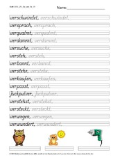 DSS_2S_Bu_ver_Nr_05.pdf